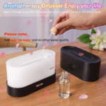 Flame Humidifier